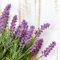 Lavender Oil for soap & candle wholesale